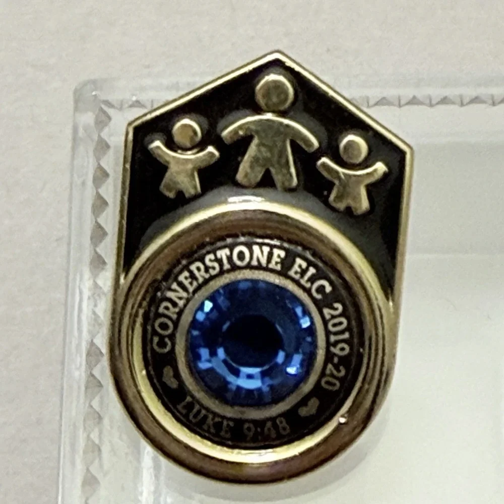 Award Pins LOT 11 Teacher Student Excellence Recognition Children First NEW Box